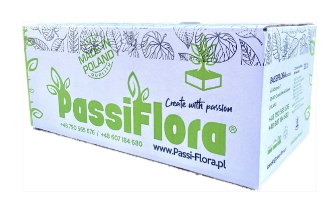 GĄBKA FLORYSTYCZNA MOKRA PIANKA ŻYWE KARTON 20 Sztuk