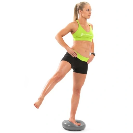 PODUSZKA SENSORYCZNA DYSK SENSORYCZNY DO ĆWICZEŃ JEŻYK DO SIEDZENIA +POMPKA