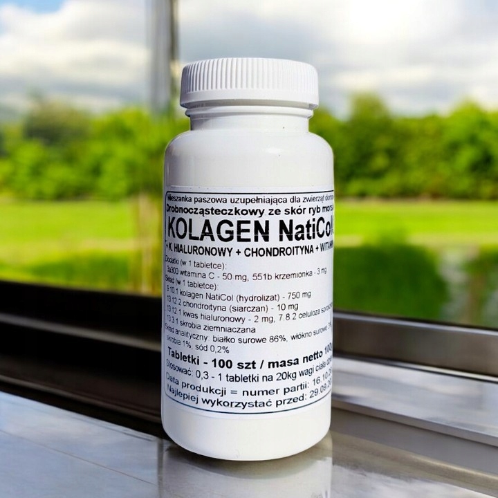 PODKOWA NatiCol Kolagen + Kwas Hialuronowy + Chondroityna + Wit.C 100