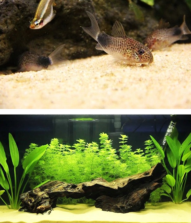 PIASEK KWARCOWY DO AKWARIUM - NAJCZYSTSZY 0,5-1,2 15 KG Drobny, Jasny