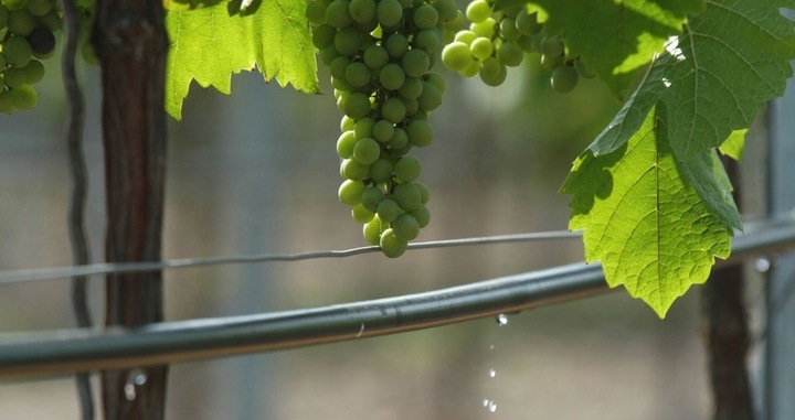 Linia kroplująca 100m + 50 szpilek /100 akcesoriów