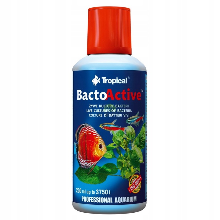 Tropical Bacto-Active (szczepy bakterii) 250ml