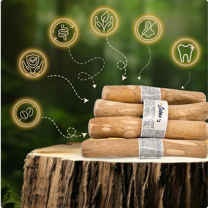 PATYK Z DRZEWA KAWOWEGO S NATURALNY KAWOWY GRYZAK DLA PSA WYTRZYMAŁY MAŁY