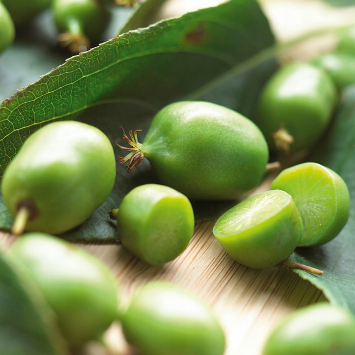 MINI KIWI Aktinidia ISSAI SAMOPYLNE obupłciowa sadzonka SMACZNE owoce