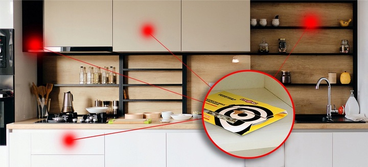 5X PUŁAPKA NA MOLE SPOŻYWCZE. SILNIE WABIĄCY LEP NA MOLE FEROTRAP