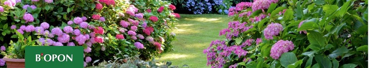 BIOPON MIKORYZA UNIWERSALNA WARZYWA KRZEWY DRZEWA ROŚLINY BALKONOWE