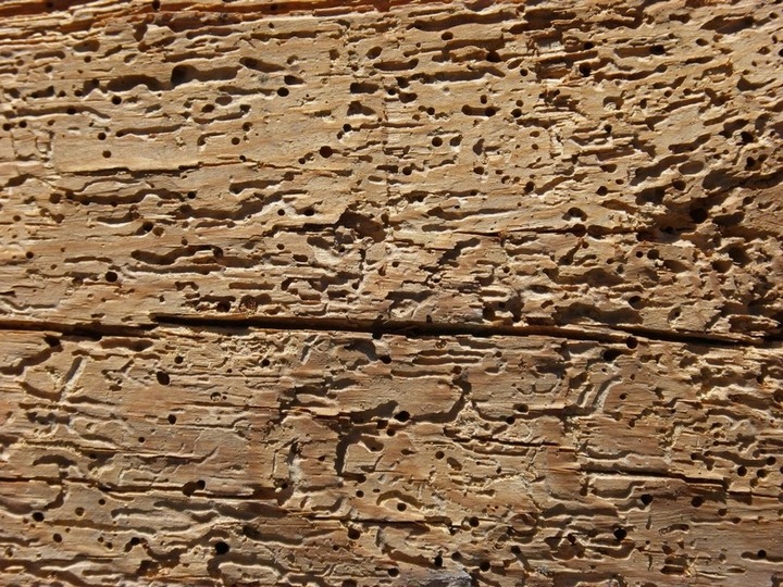 3x 300 Preparat owadobójczy HERKULES PROPAL =900ml