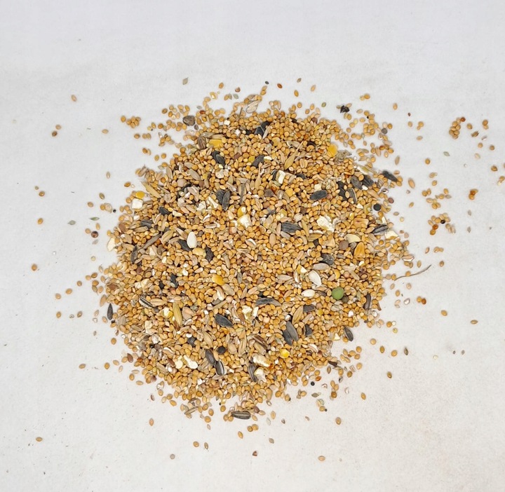 Kampol O-MIX DROBNY karma dla Papug, Dzikich Ptaków 25kg