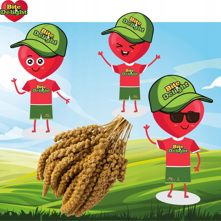 PROSO SENEGALSKIE BIAŁE 1KG CZYSTE DUŻE KŁOSY DLA PTAKÓW PAPUG ECO PACK