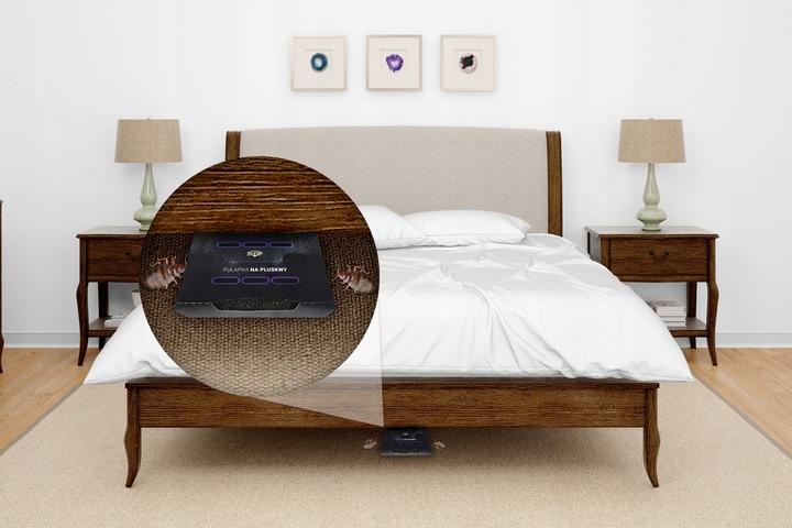 SILNA PUŁAPKA LEPOWA NA PLUSKWY PRZECIWKO PLUSKWOM WABIK 5 SZTUK NO