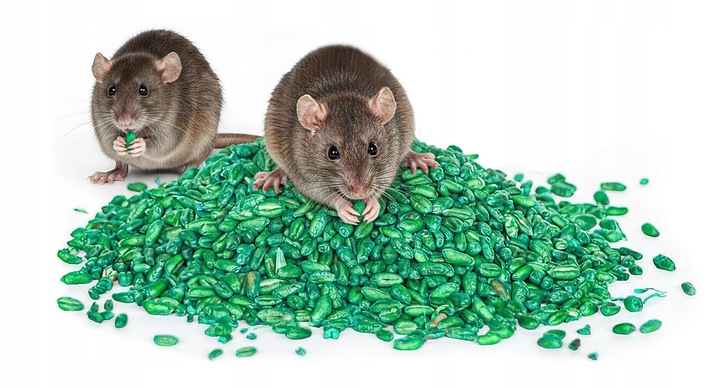 ZATRUTE ZIARNO NA MYSZY I SZCZURY TRUTKA ZBOŻOWA STRONG BROMADIOLON 3