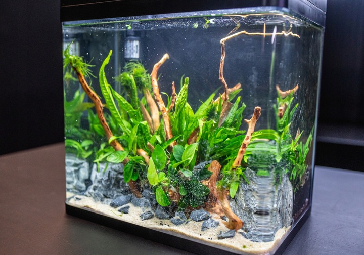 INVITAL EasyTank PRO LED 30L czarny