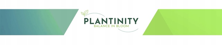 Podpora Roślin Kwiatów Obejma Pierścieniowa Obręcz Podpórka RING 2w1XL