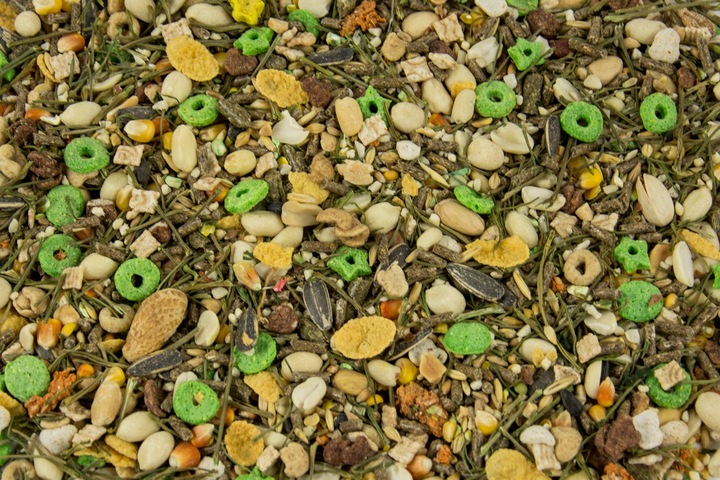 NATURALNY POKARM KARMA DLA KRÓLIKA ŚWINKI GRYZONI 4 PORY ROKU WIOSNA