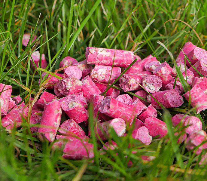 BARDZO SILNA TRUTKA NA SZCZURY I MYSZY GRANULAT BROMADIOLON STRONG 3KG