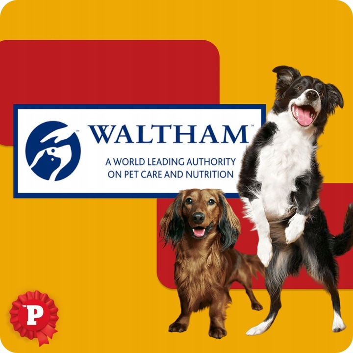 ZESTAW 12x PEDIGREE RODEO PRZYSMAK Z WOŁOWINĄ 123G