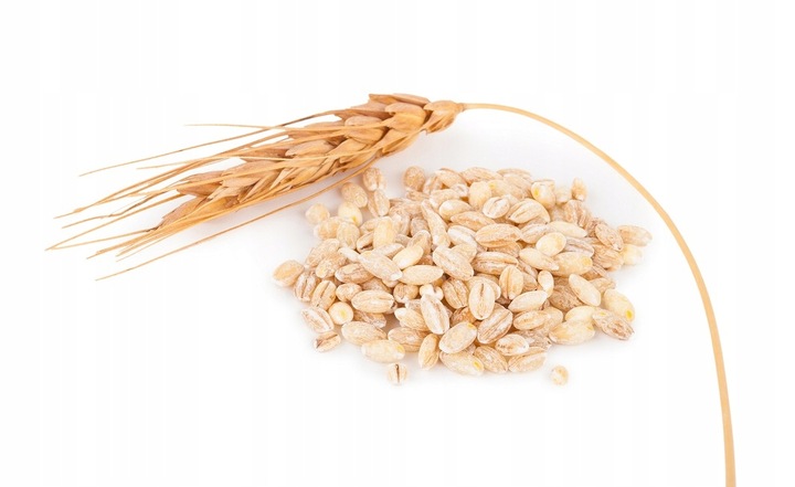 Kasza Jęczmienna 25KG Polska