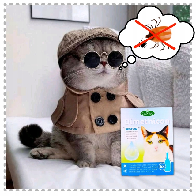 PREPARAT PRZECIW PCHŁOM I KLESZCZOM DLA KOTÓW NA KROPLE PCHŁY I KLESZCZE