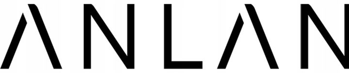 Stylizator Do Włosów 4 W 1 Anlan Lokówka Szczotka Suszarka Różne