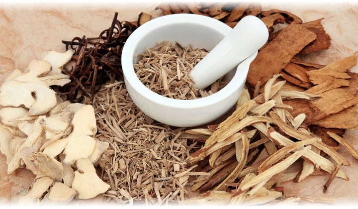 Suplement diety Aliness Grzyb witalny Shiitake kapsułki 90 sztuk