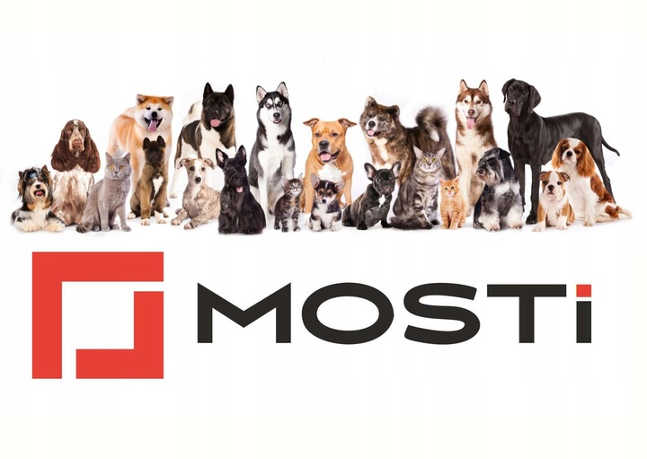 Inteligentna piłka dla kota ruchoma zabawka USB niebieska kula