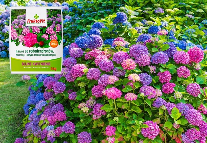 NAWÓZ FRUKTOVIT DO RODODENDRONÓW HORTENSJI KWAŚNOLUBNYCH GRANULAT 5 KG