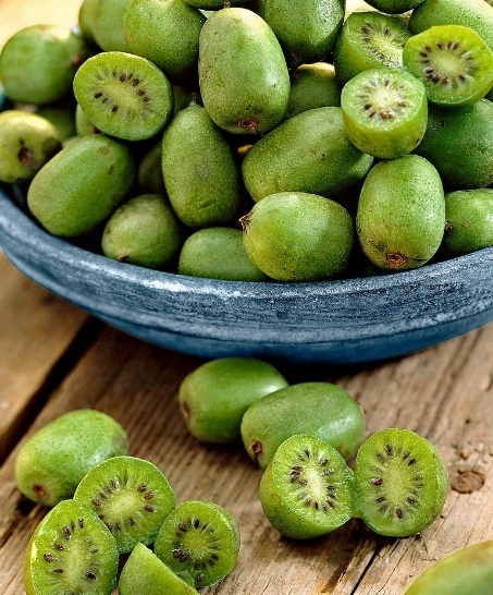 MINI KIWI Aktinidia ISSAI SAMOPYLNE obupłciowa sadzonka SMACZNE owoce