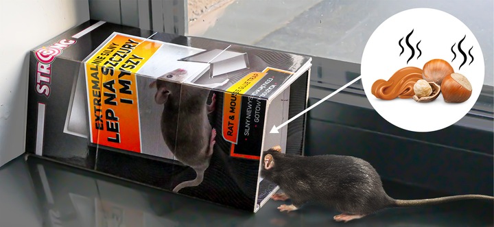 5X DUŻY LEP NA SZCZURY I MYSZY PUŁAPKA LEPOWA Z WABIKIEM 35X22 CM