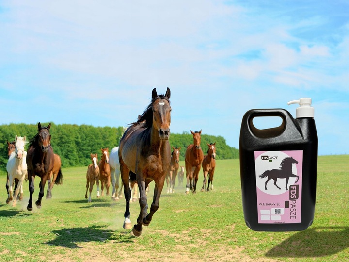 Olej Lniany dla Koni 5 litrów Naturalny Nierafinowany Tłoczony na Zimno FDS