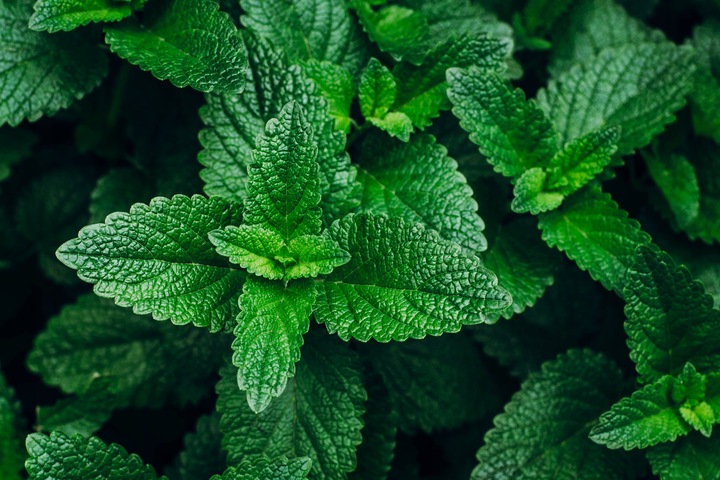 Mentol Krystaliczny 100g * SAUNA * INHALACJE * NOWOŚĆ