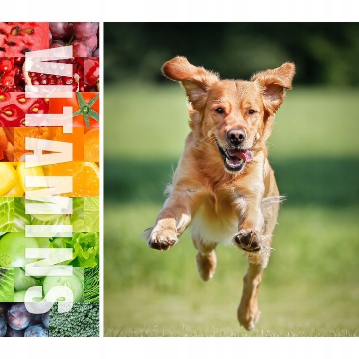 LUPPY Karma sucha dla psów Dorosłych i AKTYWNYCH z kompleksem WITAMIN