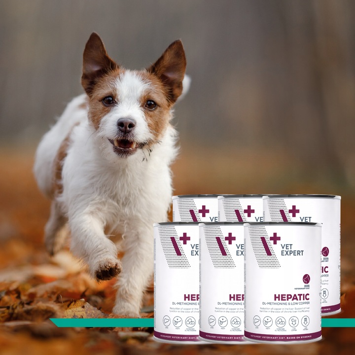 Mokra karma dla psów wsparcie wątroby kurczak Vet Expert Hepatic 6 x