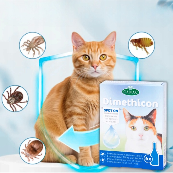 PREPARAT NA PCHŁY I KLESZCZE DLA KOTA NA PÓŁ ROKU KROPLE 6 SZT DIMETHICON