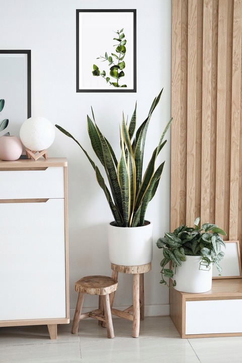 Ramka A3 ramka na zdjęcia ramki czarna 29,7x42