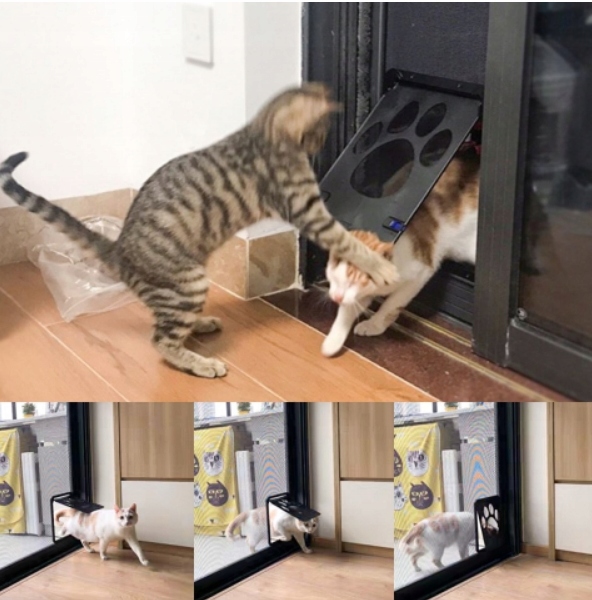 FURTKA KLAPKA TUNEL DO DRZWI MOSKITIERY DRZWICZKI WAHADŁOWE PSÓW PSA KOTÓW