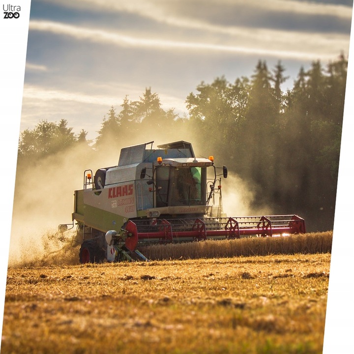 TRUX Karma ziarno dla ptaków zimujących 10kg sikorek wróbli gołębi zimowa