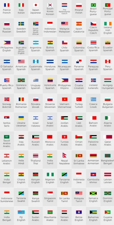 TŁUMACZ ELEKTRONICZNY TRANSLATOR DŁUGOPIS SKANER TEKSTU I MOWY NA ŻYWO