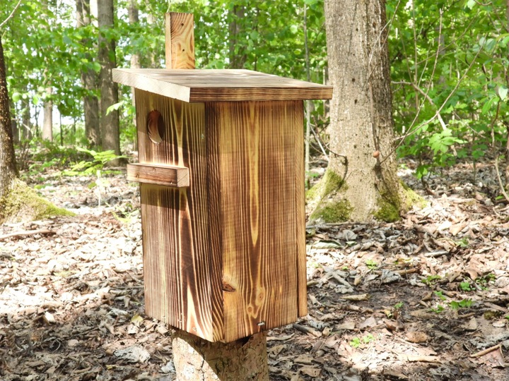 Budka dla wiewiórki Domek opalany