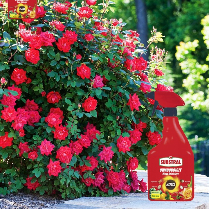 Polysect owadobójczy mszyca mączlik ziemiórka działa 21 dni 750ml