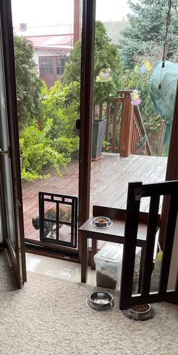 DRZWICZKI moskitiery dla kota i psa