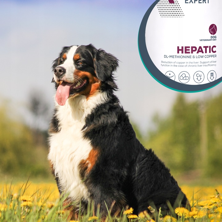 Mokra karma dla psów wsparcie wątroby kurczak Vet Expert Hepatic 6 x