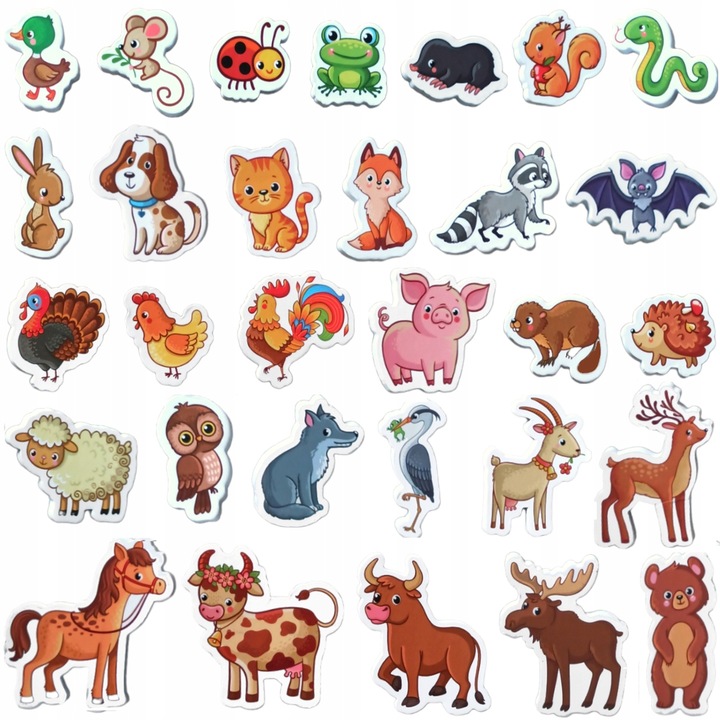 MAGNESY NA LODÓWKĘ DLA DZIECI ZESTAW EDUKACYJNY ZWIERZĘTA PREZENT 30