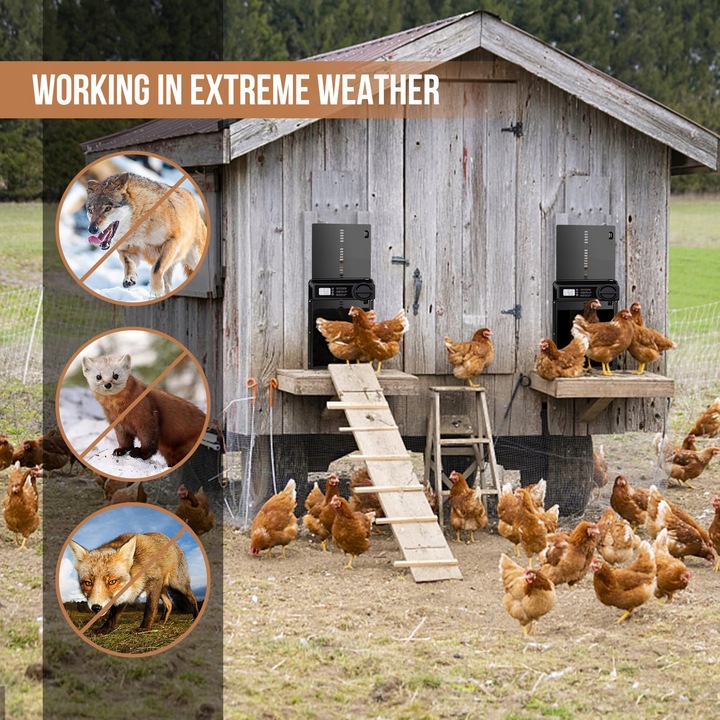 Automatyczne Drzwi Do Kurnika Z Timerem Blokada Przytrzaśnięcia Wodoodporne