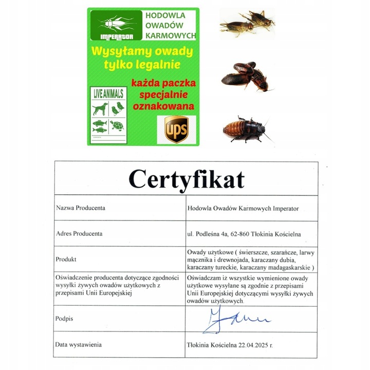 Mącznik młynarek - 1000 ml, 1 litr + legalna wysyłka