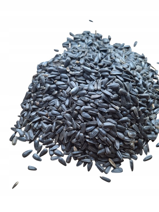 Słonecznik czarny 14 kg pokarm dla papug karma dla ptaków GRTIS kula tluszc