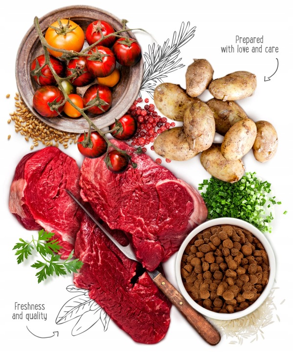 Mokra Karma Dla Kota Feringa Classic Kitten Meat Menü mix smaków 6 x