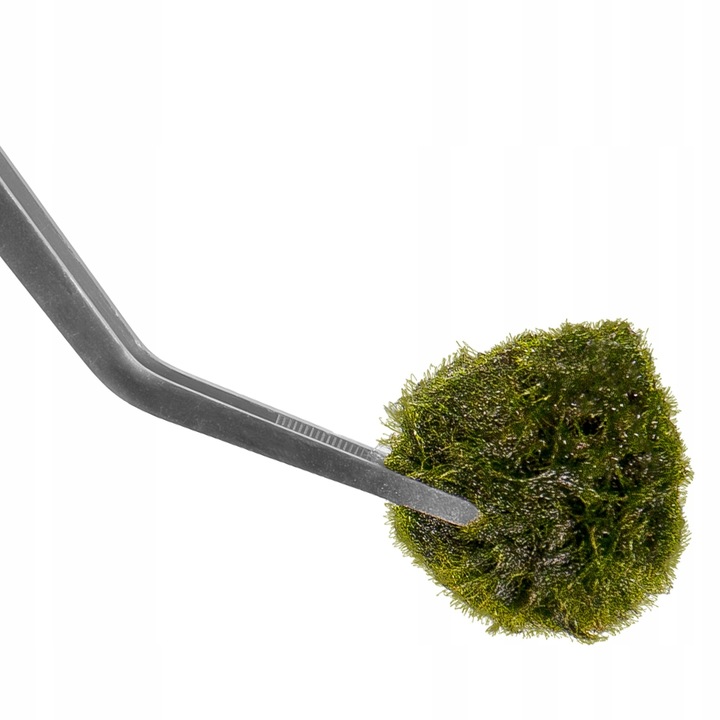 PĘSETA ZAGIĘTA DŁUGA 48CM DO PIELĘGNACJI ROŚLIN