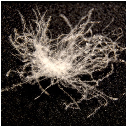 Poduszka puchowa 70x80 1,5 kg KREMOWA lub RÓŻOWA