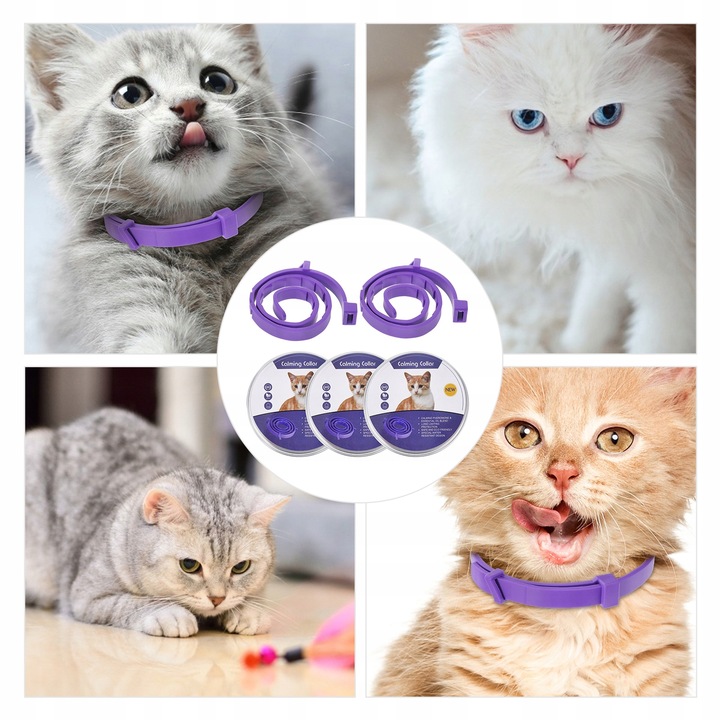 Obroża na pchły i kleszcze dla kota w wieku 8 miesięcy 32 CM