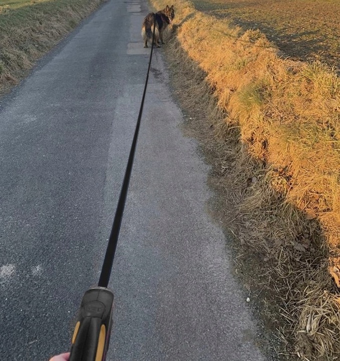 SMYCZ DLA PSA 8m 50KG AUTOMATYCZNA Z BLOKADĄ TAŚMA